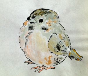 water colour ink chubby bird