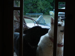 You "should" open the door